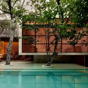  Villa Jungle Keva & Venue Mexique